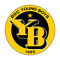 bsc-young-boys